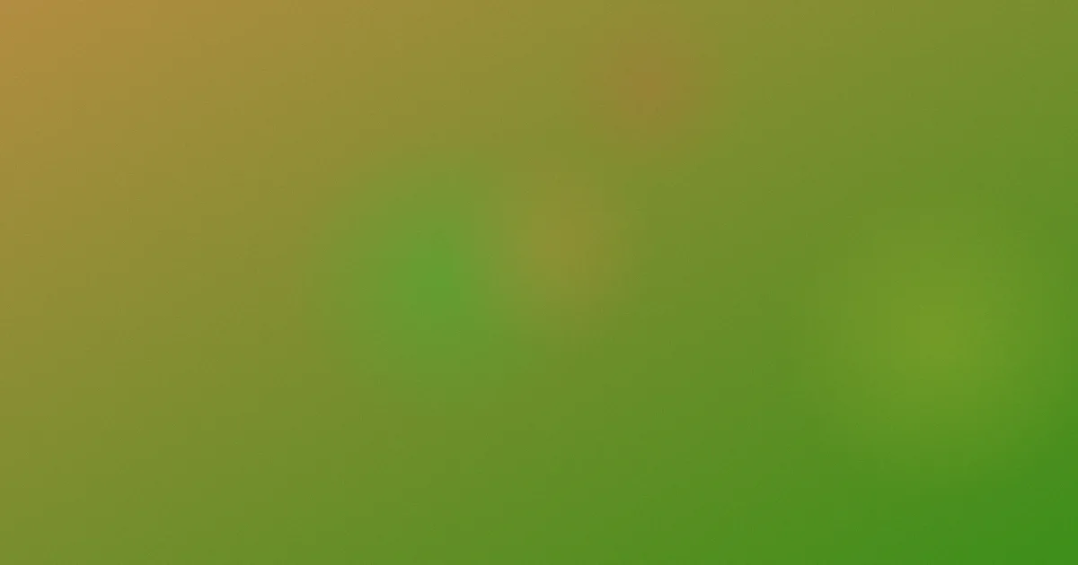 英雄祭怎么用：我的实测看法